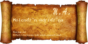 Molcsán Adriána névjegykártya